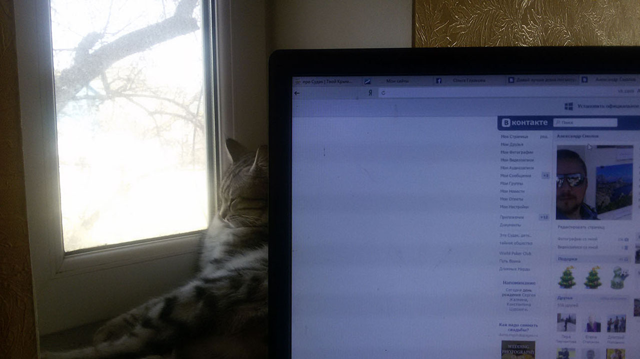 кот на окне, вКонтакте админа