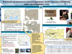 Материалы по деятельности американских военных биолабораторий на территории Украины